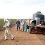 Spraying for Insects