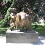 Pig as Mother of the Ukrainian People