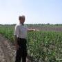 Ukraine Fruit Tree Nursery