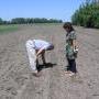 Ukraine Problem Solving